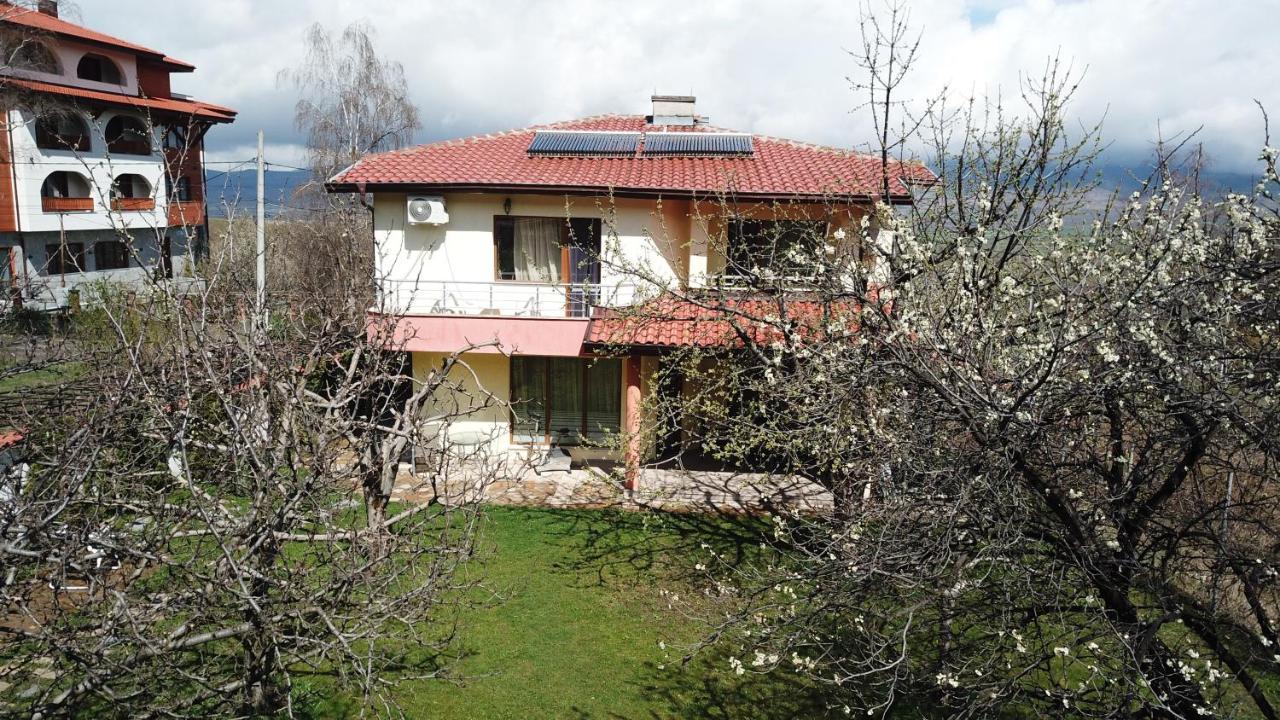 Kot Garden Guest House Sapareva Banja Exteriör bild