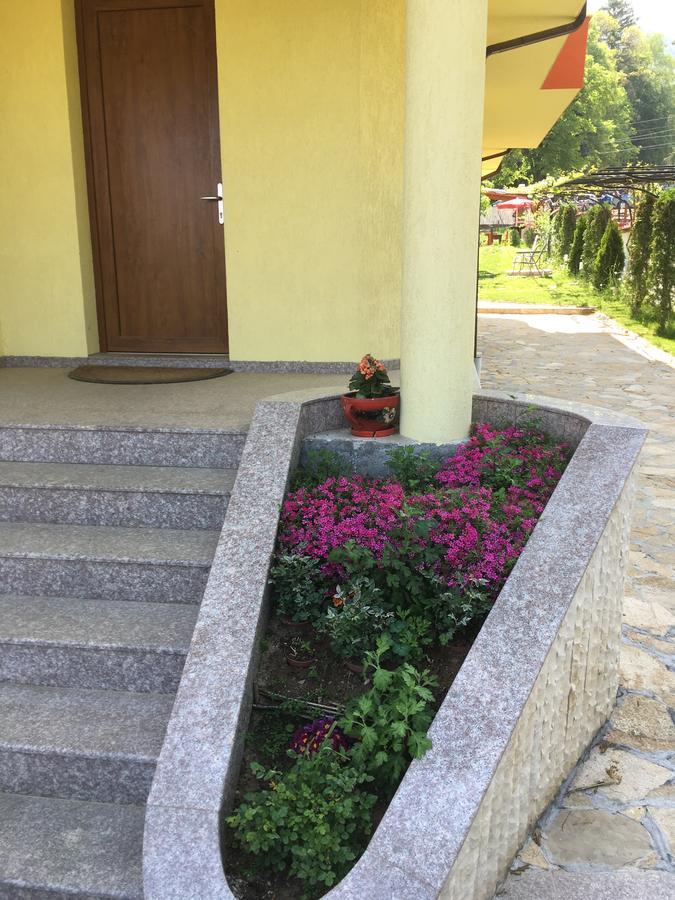 Kot Garden Guest House Sapareva Banja Exteriör bild